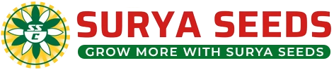 logo (1)