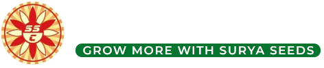logo-light